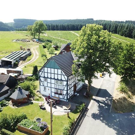Villa Ortmanns Eulennest à Finnentrop Extérieur photo